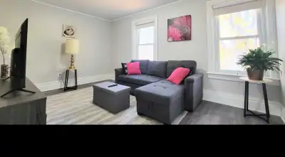 Furnished Room Rental Large, bright bedroom with sofa bed, smart TV, large closet Sofa bed Converts...