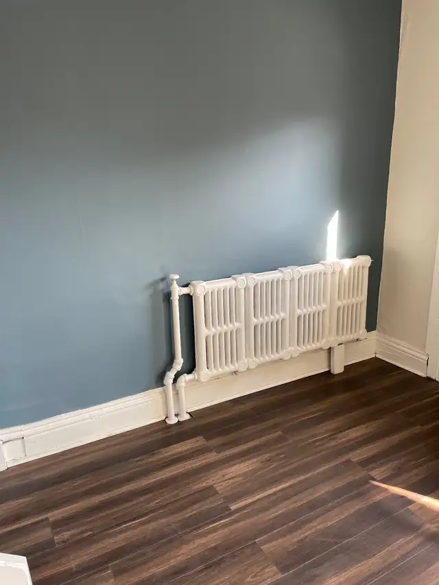 Female Painter in Painters & Painting in Hamilton - Image 7