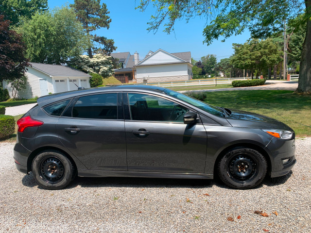 2016 Ford Focus in Cars & Trucks in Leamington - Image 2