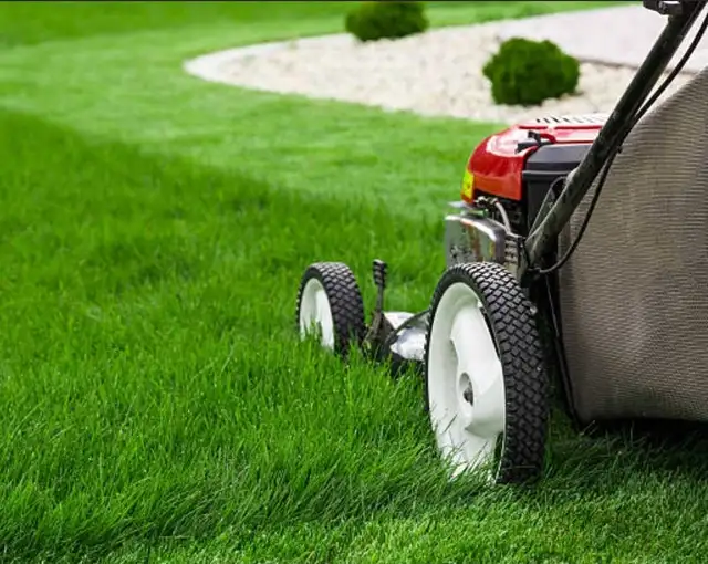 Grass cutting 502662490520954884