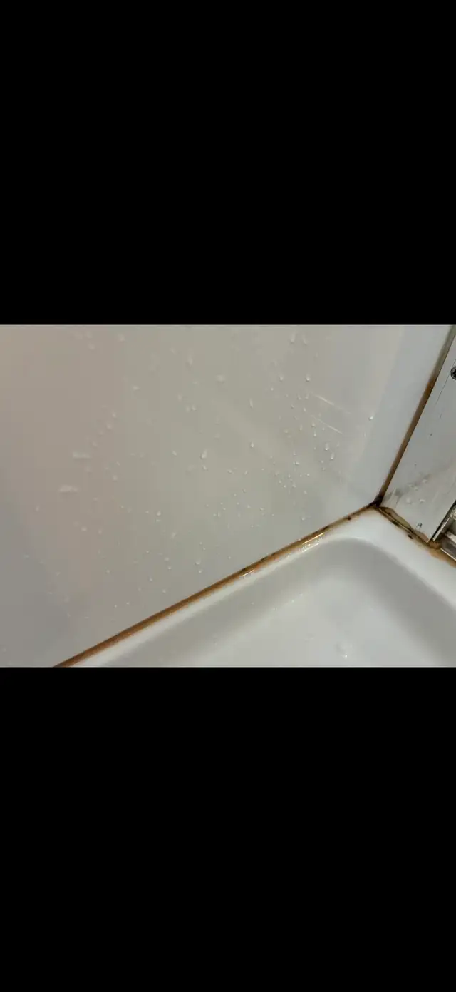handy man with experience needed bathrooms repair557016831387904004