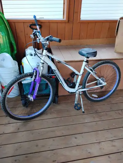 like new Ladies Schwinn bike lifetime warranty on frame, View more