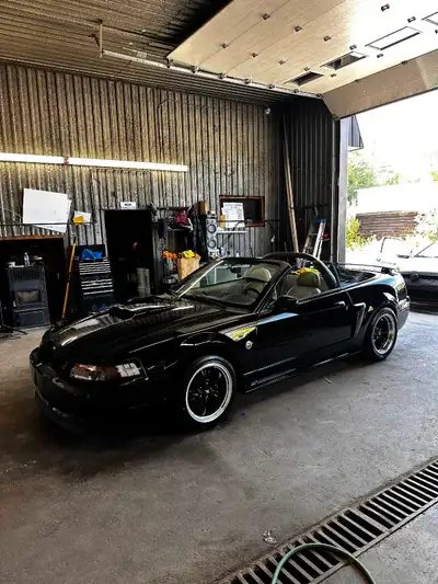This 2004 Ford Mustang GT convertible features a powerful V8 engine and an manual transmission, maki...