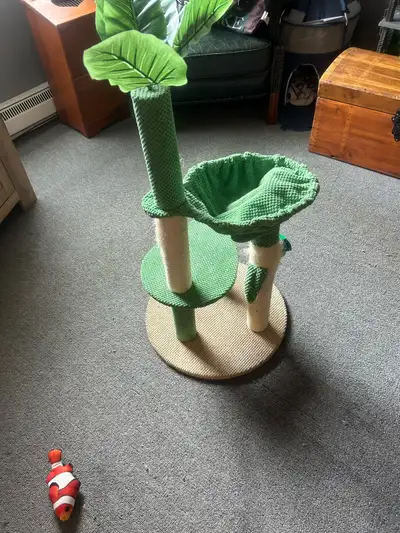 Cat scratching post , View more