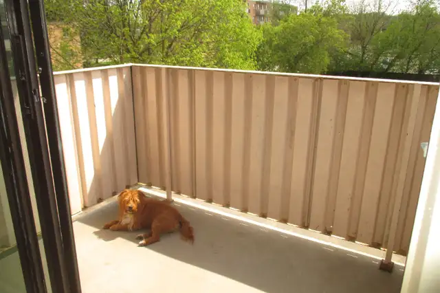 Orangeville Apartment With Closets Galore and Balcony in Long Term Rentals in Oakville / Halton Region - Image 11