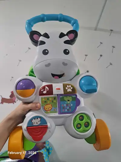 Fisher-Price Musical Baby push toy, View more