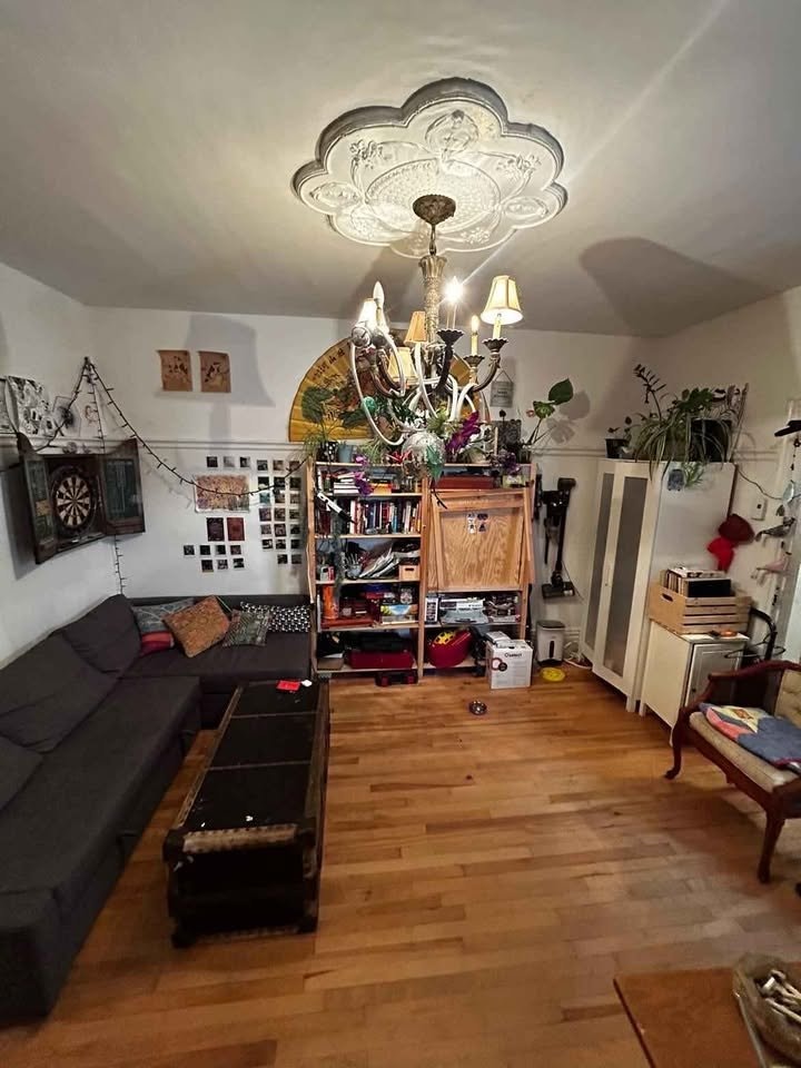 Room available in fun, social house! — photo 2