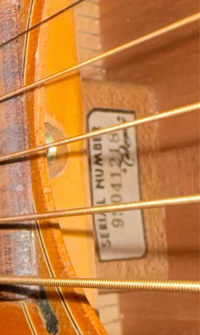 Takamine Guitar in Guitars in Hamilton - Image 6
