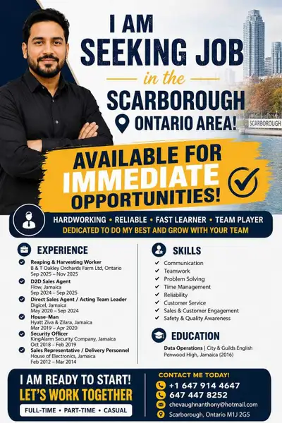 Seeking jobs , View more