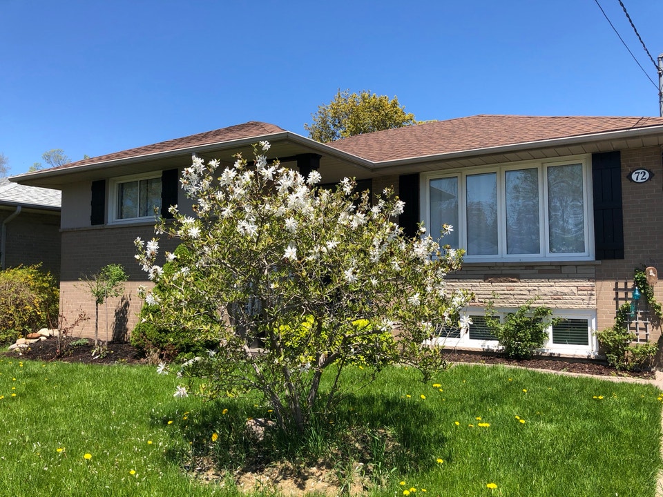Two Bedroom Basement Apartment 2