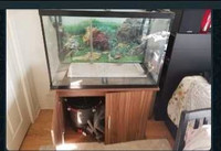 Aquarium kit