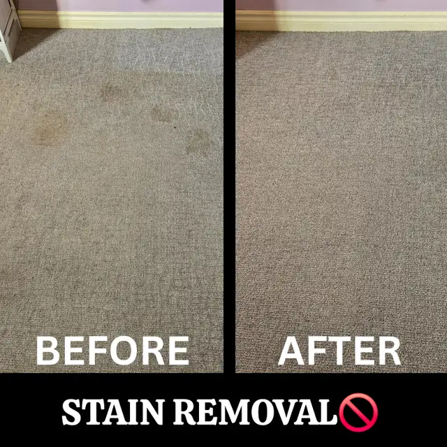 Carpet Cleaning Belleville in Cleaners & Cleaning in Belleville - Image 4