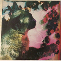 Pale Saints - "The Comforts of Madness" Original 1990 Vinyl LP