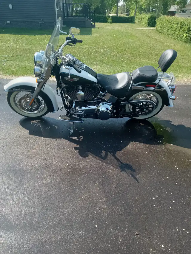 2009 Harley Davidson Softail Deluxe 2490 Km $14700 obo in Street, Cruisers & Choppers in Regina - Image 3