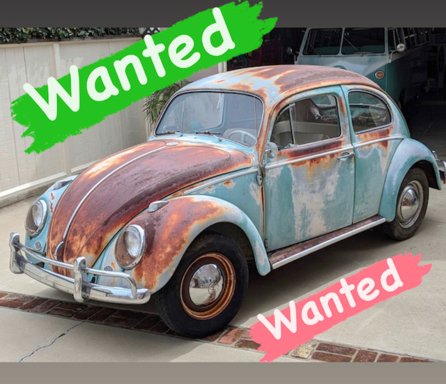 Wanted - VOLKSWAGEN BEETLE in Classic Cars in Abbotsford - Image 3