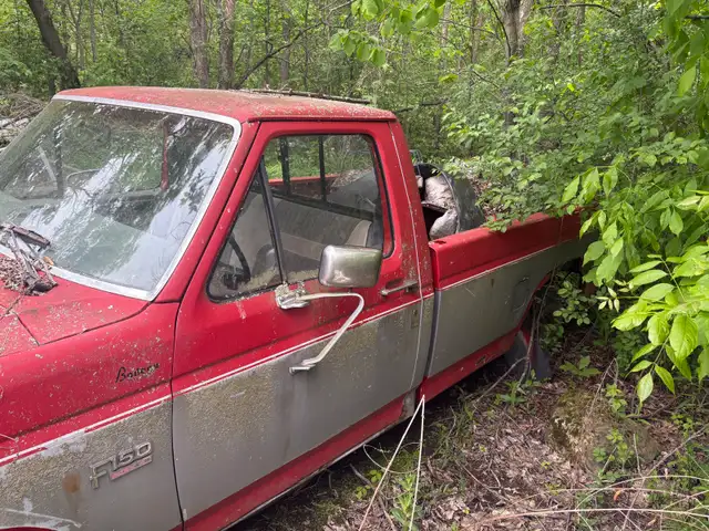 Ford f-150561999718447196161