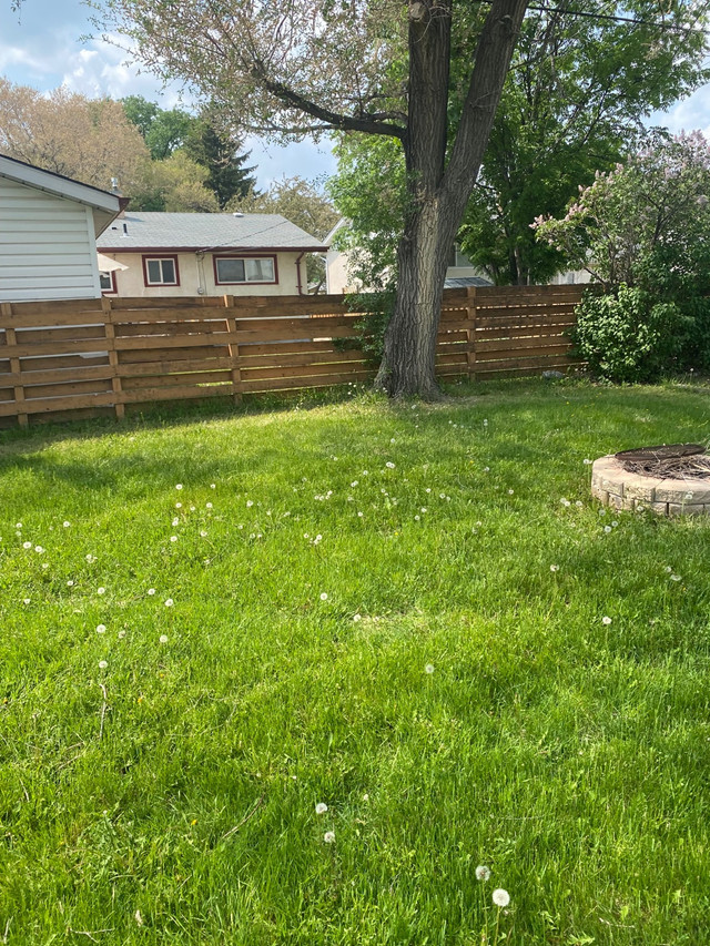 House for rent in beautiful Windsor Park Long Term Rentals Winnipeg