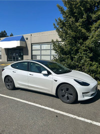 Tesla Model 3 RWD 2023