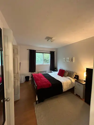 Très grand 4 1/2 très lumineux et tranquille, grande chambre des maitres, logement tout rénové, armo...