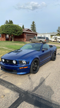 07 Mustang GT California Special Convertible 