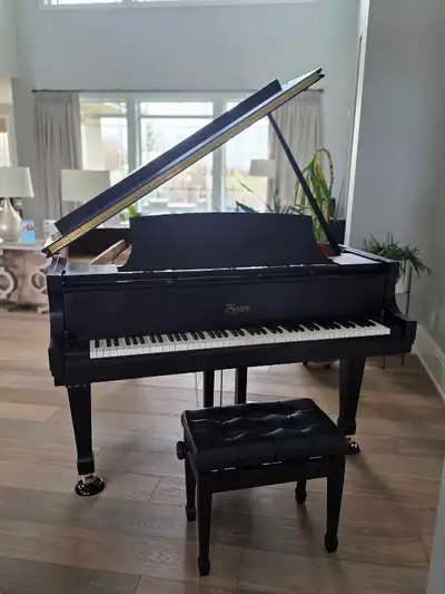 Baby Grand Piano, View more