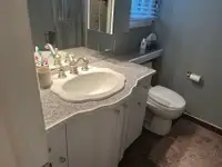 Bathroom countertop  - shower - toilet