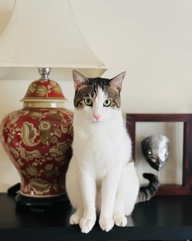 Basement Suite In Brentwood