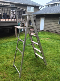 Ladder 6ft. Aluminum
