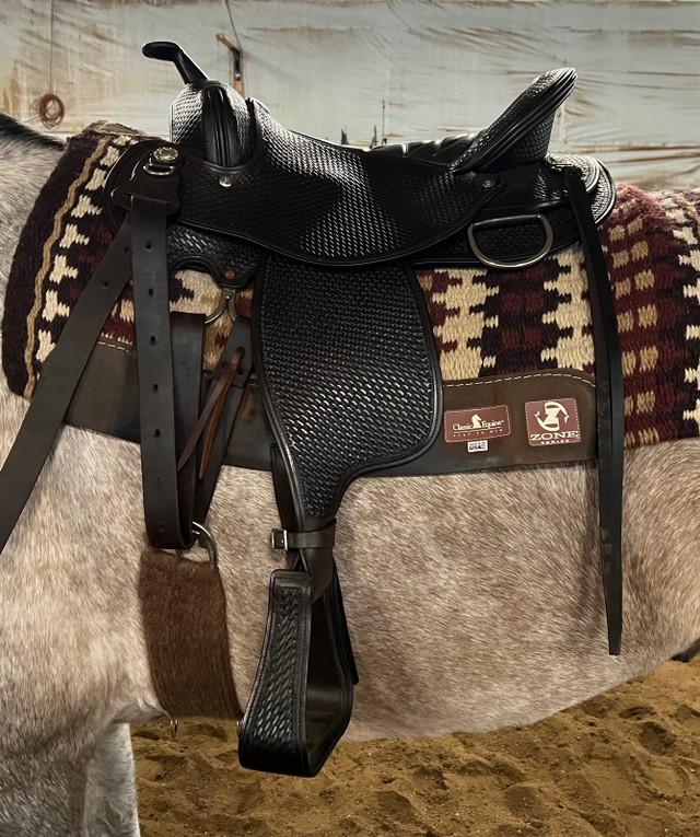 Schleese Sheridan Adjustable Western Saddle in Equestrian & Livestock Accessories in Strathcona County