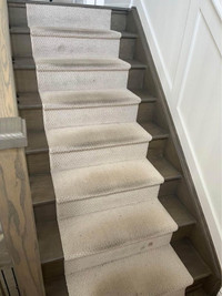Expert Carpet and Rug Cleaning Services: Ultimate Cleanliness