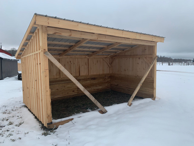 Storage Sheds Pine in Outdoor Tools & Storage in Muskoka - Image 4