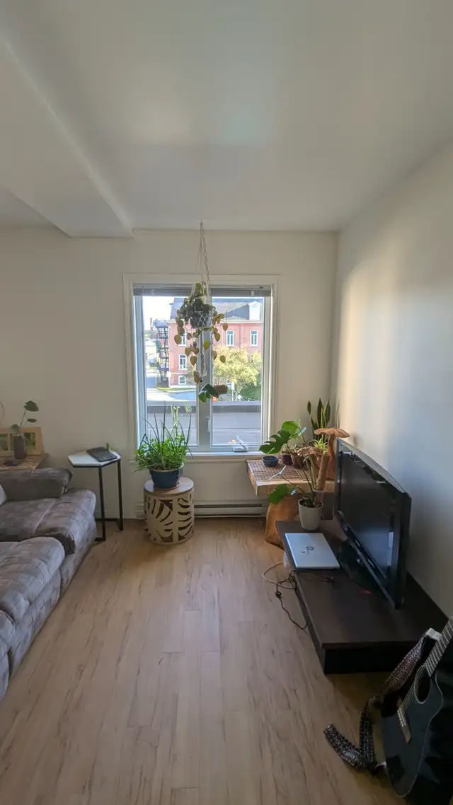 Room for rent - Rue Queen in Room Rentals & Roommates in Sherbrooke - Image 4