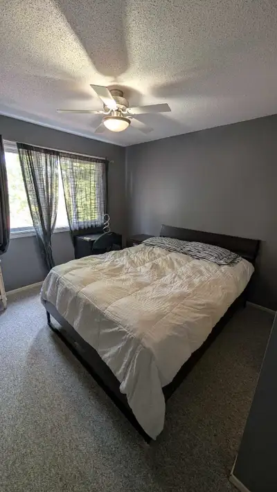 Looking for a clean and respectful tenant to rent a private furnished room in a quiet home in Fallin...