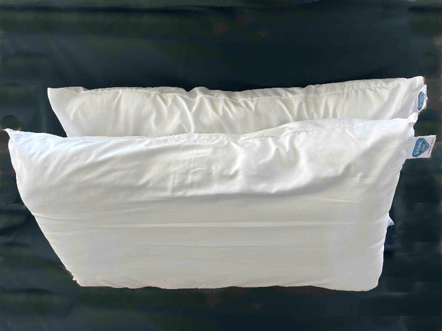 King Size Pillows in Bedding in Saint John