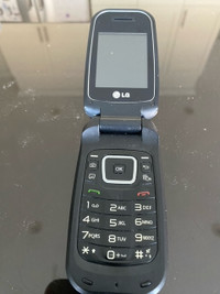 LG flip phone - LG-C441