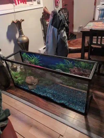 60 gallon bare tank, View more