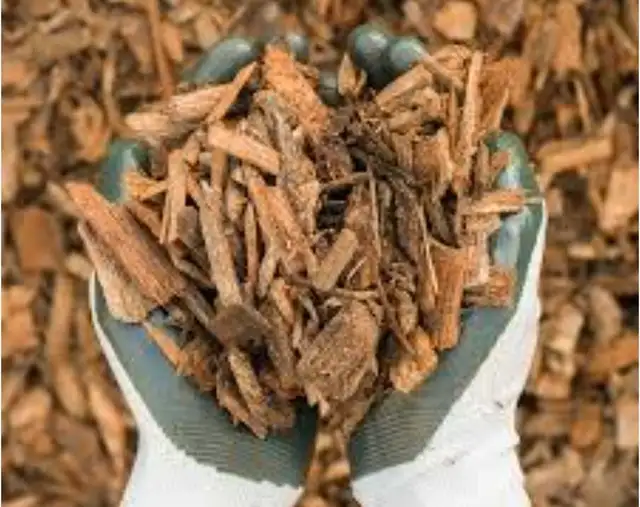Free Wood Chip Drop Off in Free Stuff in Barrie - Image 2