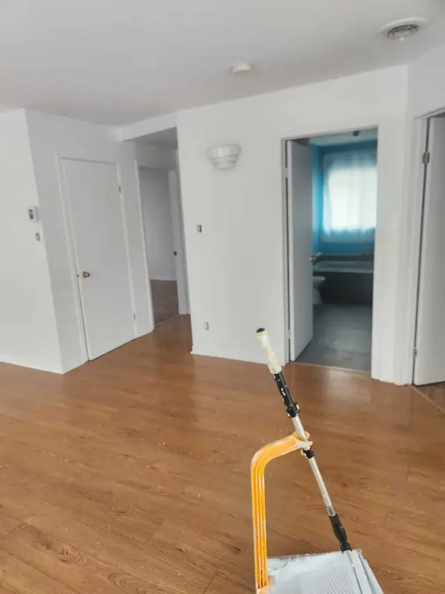 Affordable Painter!493147294469335044