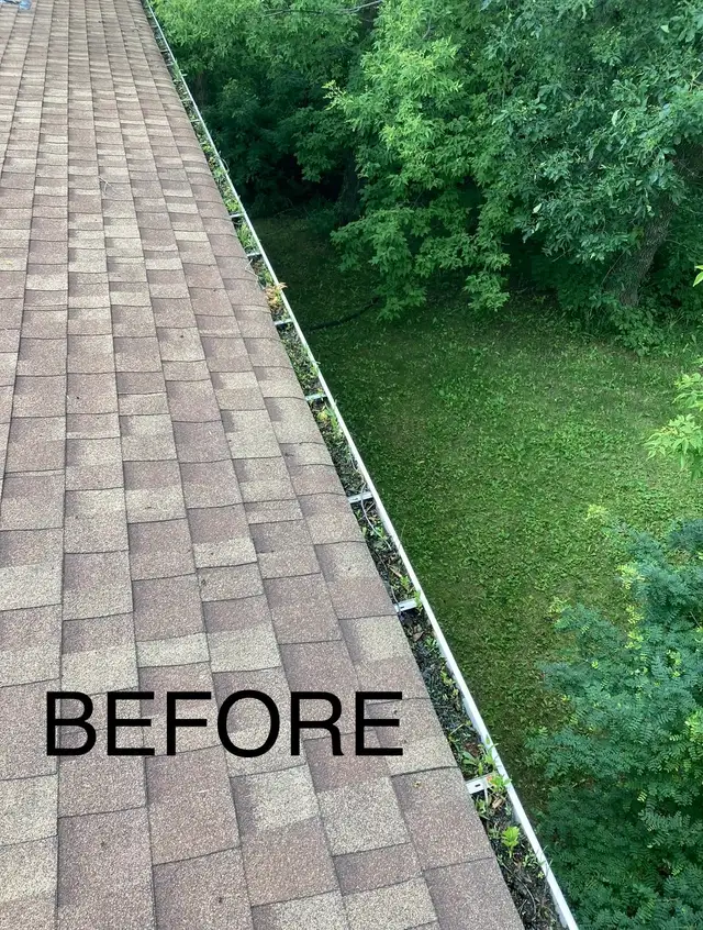 Gutter & Eavestrough cleaning service.523046275441633282