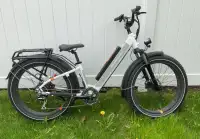 Vélo Électrique Fatbike