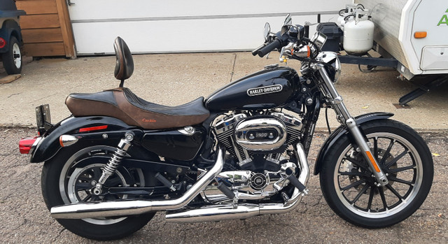 2010 Harley Davidson XL1200L in Street, Cruisers & Choppers in Edmonton