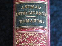 VERY RARE, Animal Intelligence, by George J. Romanes