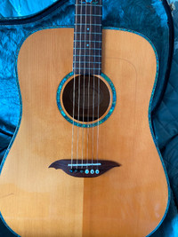 SONGBIRD ACOUSTIC ELECTRIC WITH LINED CASE