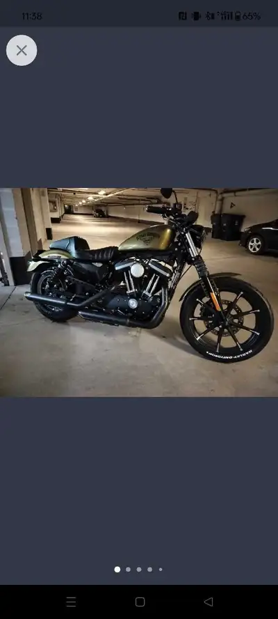2016 iron 883 in excellent condition One year only olive gold (green) color. Meticulously maintained...