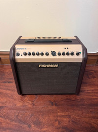Fishman LBX Pro 60W - Acoustic Guitar Amplifier