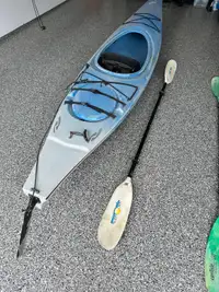 2 Necky Kayaks and paddles 
