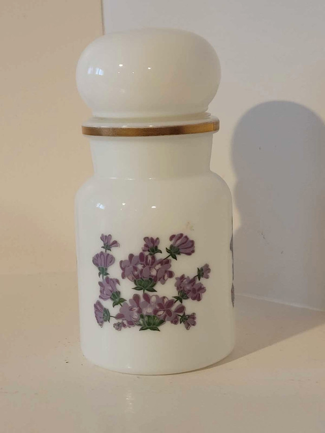 Vintage Belgium Apothecary Bubble Jars in Arts & Collectibles in Hamilton - Image 3