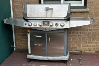 Huge Fiesta Blue Ember Stainless Steel Nat. Gas Barbeque Grill