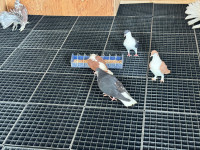 Pigeon floor grills/grates
