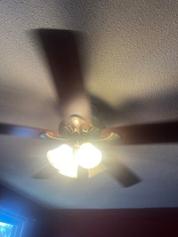 Ceiling Fan